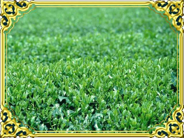 �t���[��